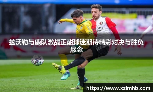 华体会平台
